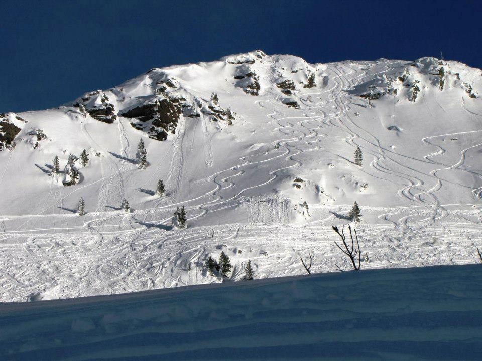 Landgut Hotel Plannerhof Planneralm Экстерьер фото