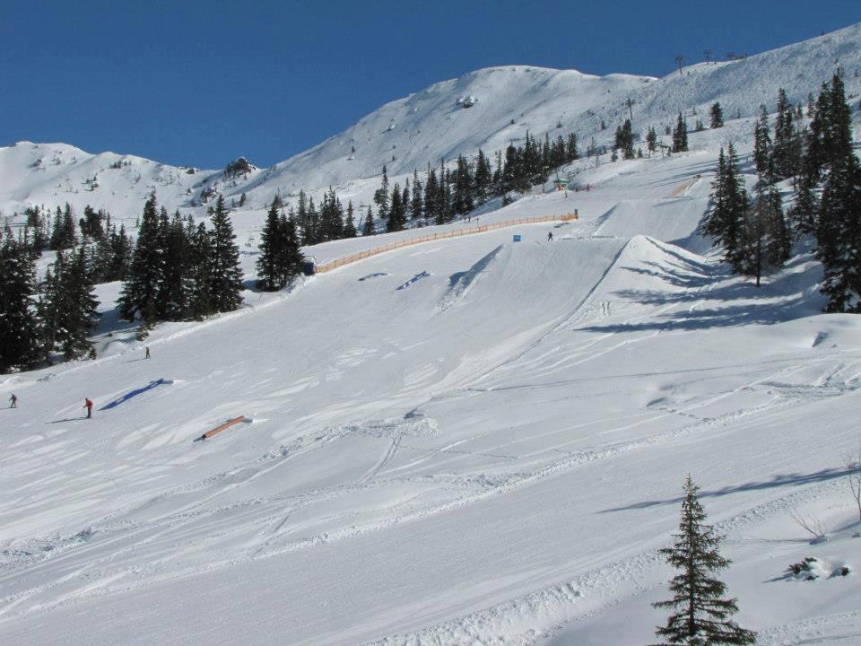 Landgut Hotel Plannerhof Planneralm Экстерьер фото