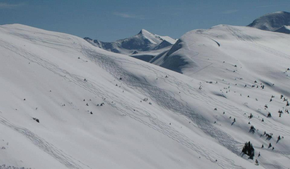 Landgut Hotel Plannerhof Planneralm Экстерьер фото
