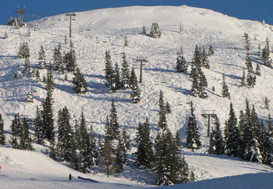 Landgut Hotel Plannerhof Planneralm Экстерьер фото